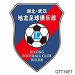 武汉三峡地龙室内足球队