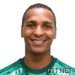 帕尔梅拉斯 迪瓦森 Deyverson
