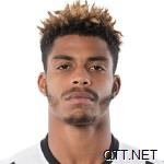 南安普敦 勒米纳 Mario Lemina