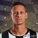 博塔弗戈 乔纳森·达席尔瓦·费尔南德斯 Matheus Fernandes
