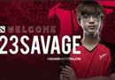 Talon官宣23savage加入 Ana落脚何处？