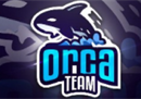 Orca战队经理：全是我的错 队员们绝对没有假赛