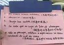 铁榔头女运动员名字
