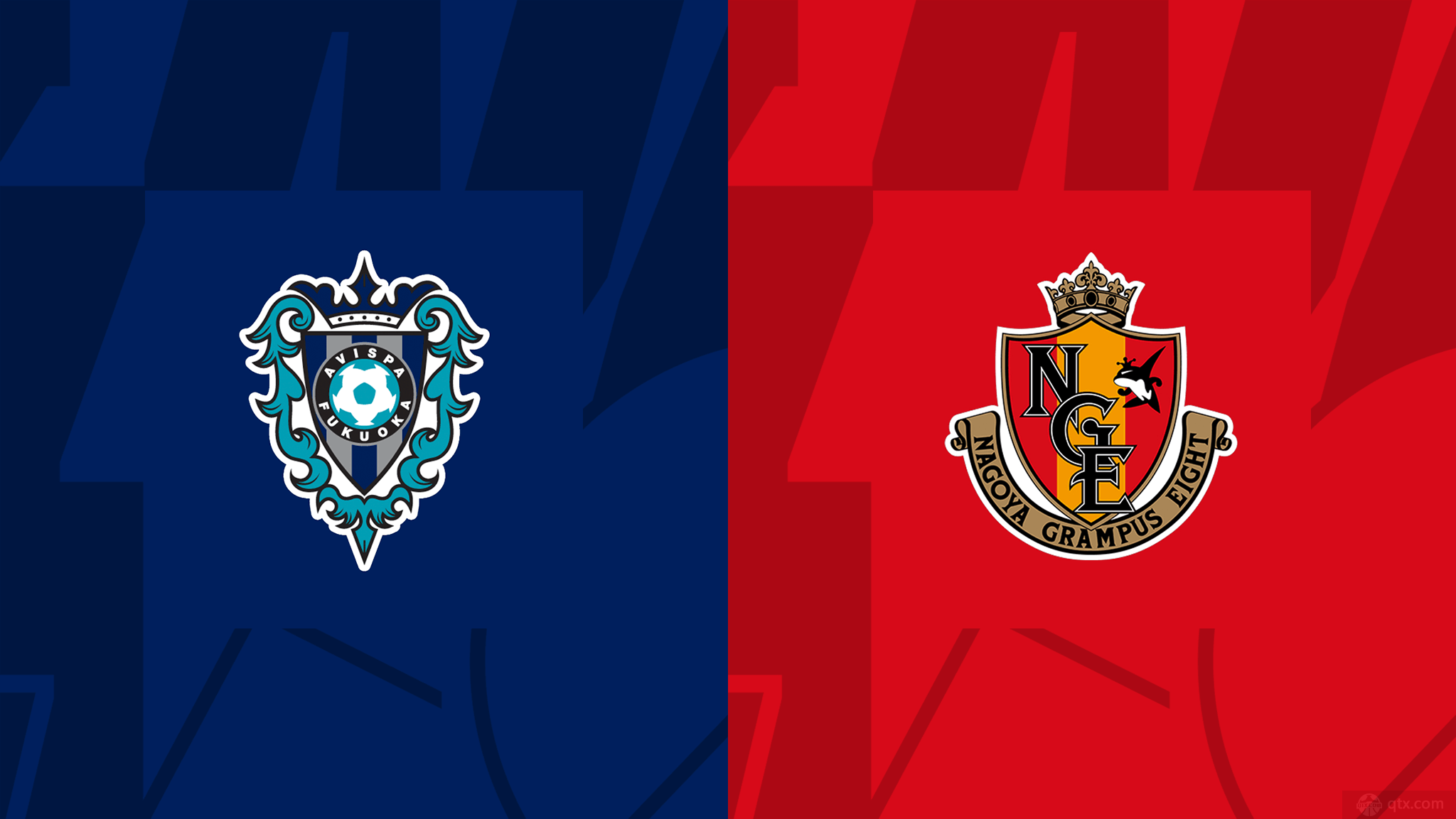 福冈黄蜂vs名古屋鲸八