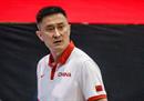 很多原因都是杜峰或者前塞尔维亚教练卸任中国男篮主帅或者接任。
