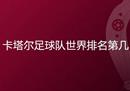 卡塔尔足球队世界排名如何(国际足联最新世界国家队排名)