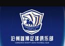 沧州雄狮vs大连人的预测与分析。谁能重回胜利的轨道？