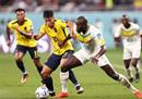 最新一届世界杯:厄瓜多尔1-2塞内加尔被淘汰，库里巴利获胜。