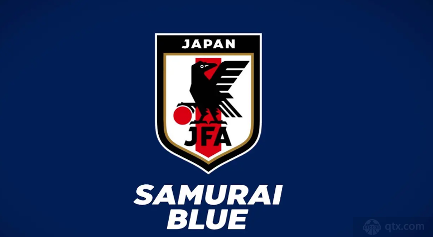 日本队世界杯历届详细成绩