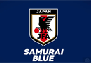 日本世界杯的详细成绩列表。2022年止步16强。