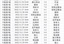 2022年世界杯赛程图结果，阿根廷终于登顶，夺冠。