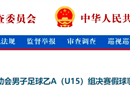 广东省运会假球事件结果出炉，省体育局局长等16人被处理。