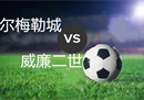 荷兰B哈梅尔城vs威廉二世的比分预测进球数分析：哈梅尔市有一个强大的主场比赛要赢。