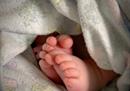 吴生了第三个孩子，2015年、2017年、2023年，三年内会有五个孩子。