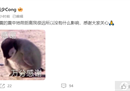 土耳其留学球员吴少聪发布消息称，李平安·佳悦正在被紧急转会。