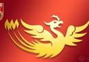 中国女子奥运会预选赛第二阶段赛程比赛表