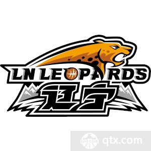 辽宁男篮青训队曝出打架斗殴丑闻