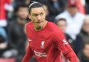 英超利物浦1-0富勒姆赛后评分:阿里森守住城门。
