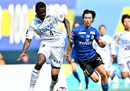 藤枝MYFC队vs横滨FC比分预测 横滨FC近期比赛豪取三连胜状态火热