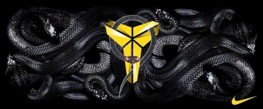 曼巴精神是什么意思-科比的曼巴精神是什么意思